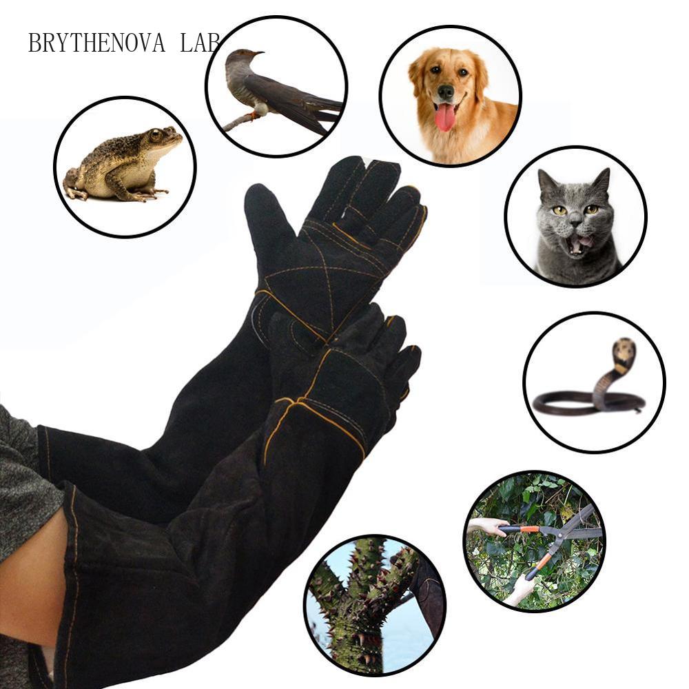Pet Gloves Bite-resistant Glov - Cut Resistant Glove 评论和价格