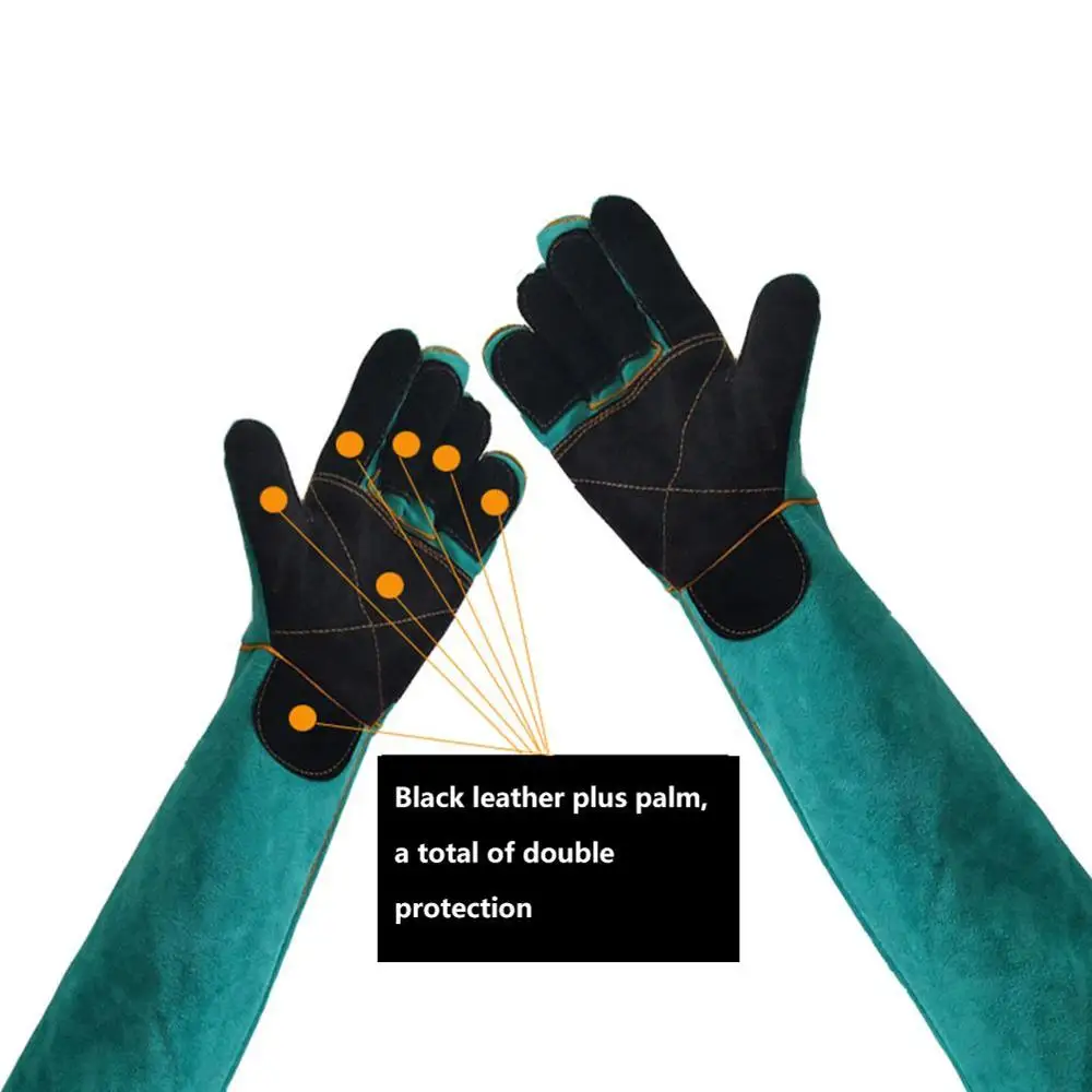 Pet Gloves Bite-resistant Glov - Cut Resistant Glove 评论和价格